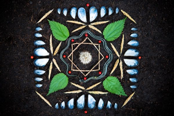 Altar made from blue mussel shells, wheat stalks, green leaves, and a dandelion