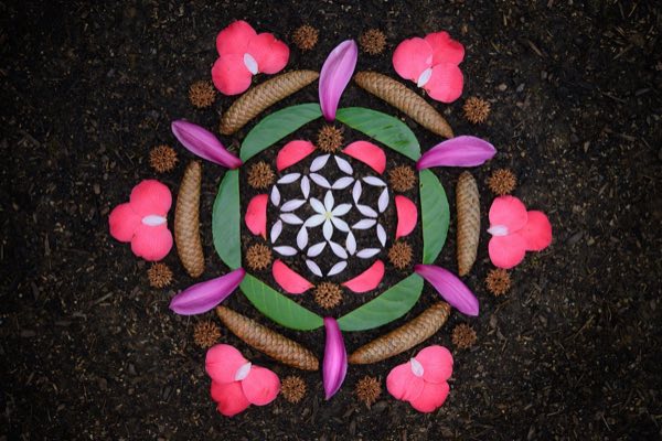 A morning altar made from pink flower petals, pine cones, green leaves, and white petals arranged in a mandala pattern on dark earth