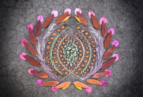 Altar made from seeds, wheat, and pink petals